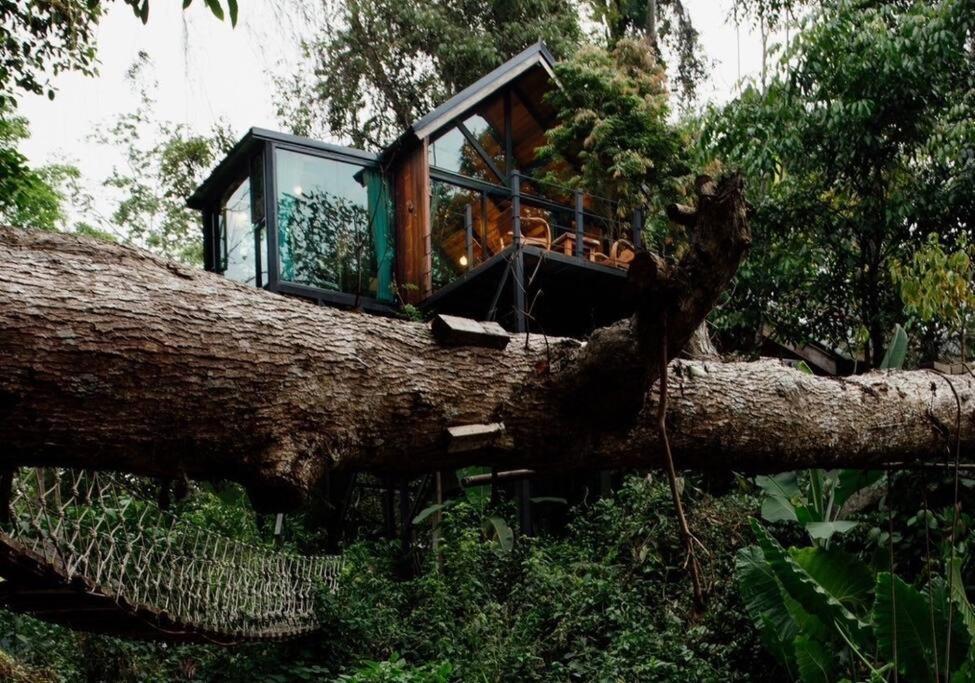 Wilderness Treehouse Βίλα Doi Saket Εξωτερικό φωτογραφία