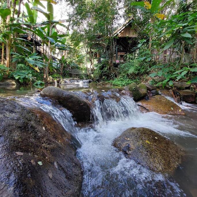 Wilderness Treehouse Βίλα Doi Saket Εξωτερικό φωτογραφία
