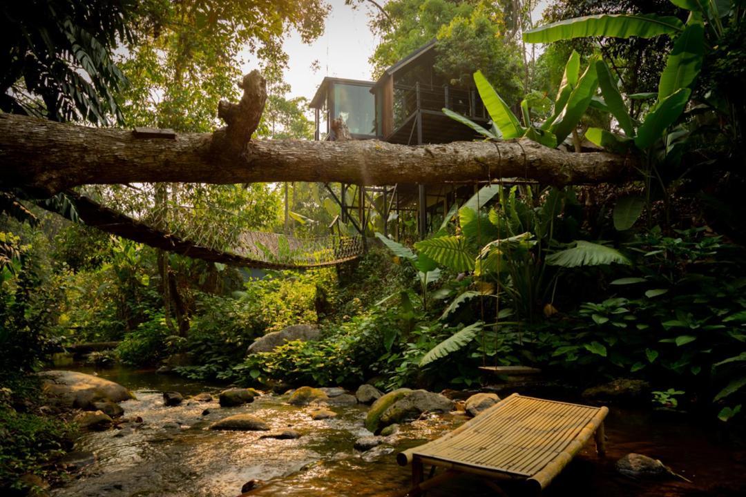 Wilderness Treehouse Βίλα Doi Saket Εξωτερικό φωτογραφία